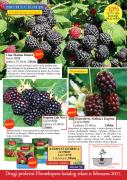 Katalog Flora Ekspres proleće 2017 Katalog Katalog Flora Ekspres proleće 2017