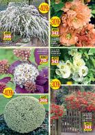 Akcija Flora Ekspres rasprodaja leto 2015 24743