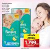 IDEA Pampers Pelene Active baby dry