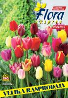 Akcija Floraekspres katalog cveća - rasprodaja novembar 2015 31193
