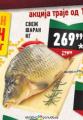 Dis market Svea riba šaran 1 kg