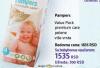 DM market Pampers Pelene Premium Care