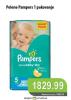 Univerexport Pampers Pelene Active baby dry