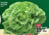 IDEA  Zelena salata