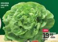 IDEA Zelena salata
