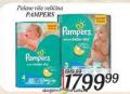 Inter Aman Pelene Pampers Active baby dry