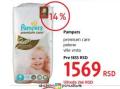 DM market Pelene Pampers Premium Care