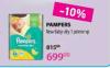 Lilly Drogerie Pampers New baby-dry pelene
