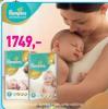 Lilly Drogerie Pampers Premium Care pelene Lilly Drogerie Pampers Premium Care pelene
