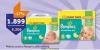 TEMPO Pampers Active baby dry pelene TEMPO Pampers Active baby dry pelene