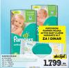 IDEA Pampers Active baby dry pelene IDEA Pampers Active baby dry pelene