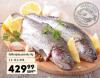 MAXI Rečna riba Kalifornijska pastrmka MAXI Rečna riba Kalifornijska pastrmka