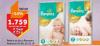 TEMPO Pampers Premium Care pelene TEMPO Pampers Premium Care pelene
